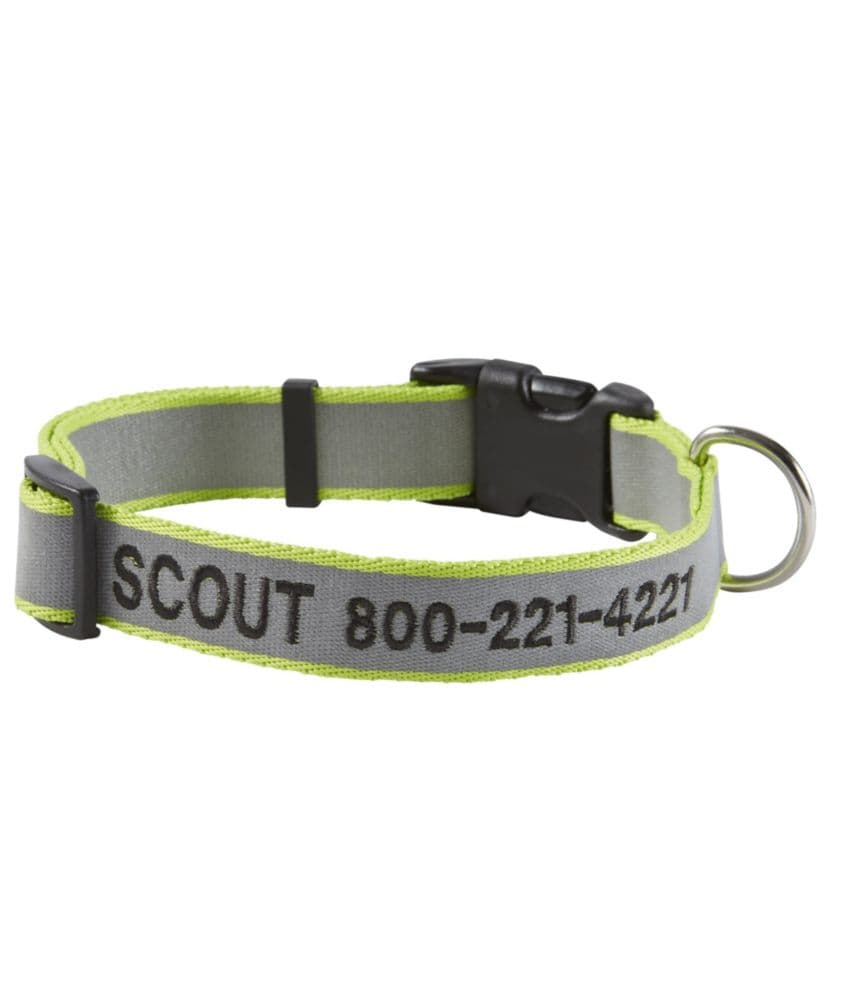L.L.Bean Personalized Pet Collar