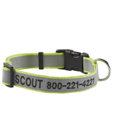 L.L.Bean Personalized Pet Collar