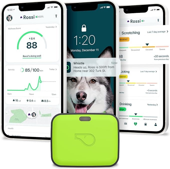Whistle Go Explore 2.0 Smart Tracker