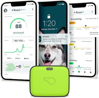 Whistle Go Explore 2.0 Smart Tracker