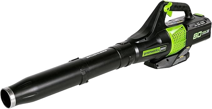 Greenworks Pro 80V Cordless Handheld Leaf Blower