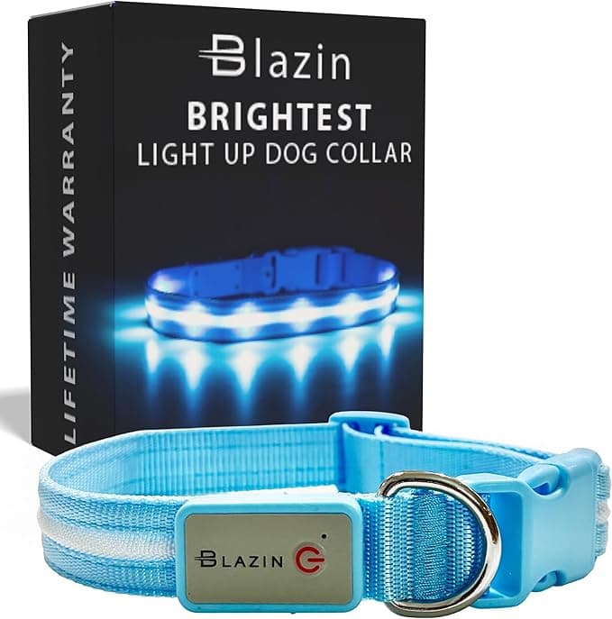 Blazin LED Light-Up Collar - Best Nighttime Visibility Toys and Baby Products